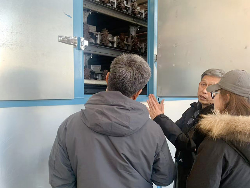 泰国客户参观我公司木皮单板烘干机设备